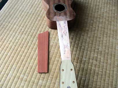 ͂w